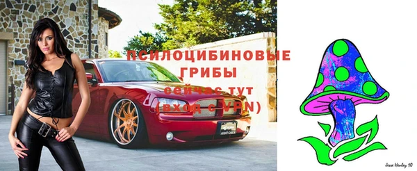 эйфоретик Инта