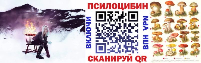 Псилоцибиновые грибы Psilocybe  Инза 